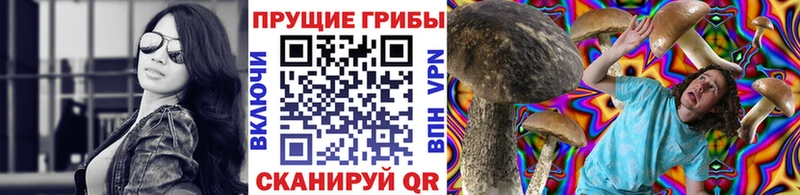 Галлюциногенные грибы Cubensis  MEGA как зайти  Ногинск  что такое  