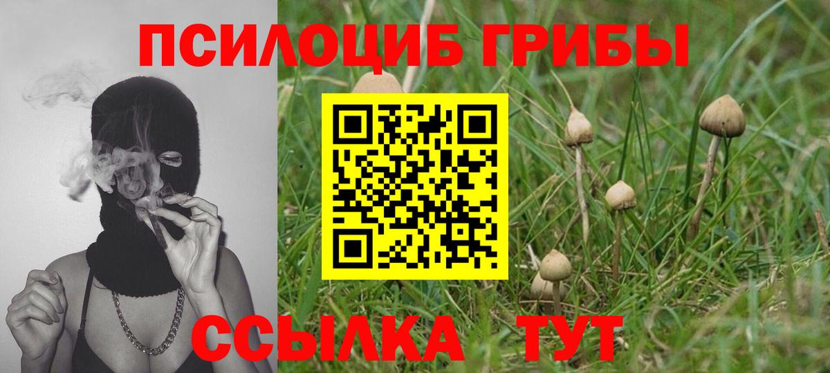 Псилоцибиновые грибы Cubensis  Псилоцибиновые грибы мицелий  Ногинск  хочу наркоту  Вход с VPN 