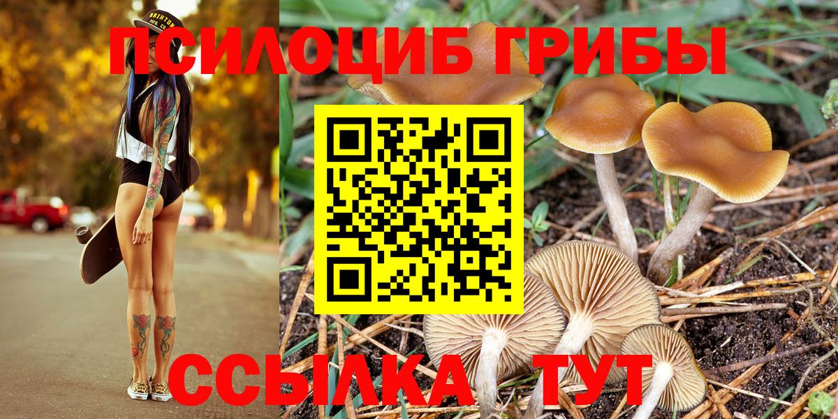 Галлюциногенные грибы Magic Shrooms Ногинск