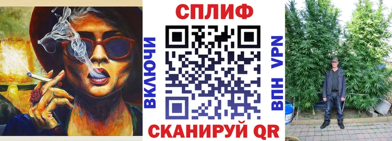 Бошки Шишки план  продажа наркотиков  Ногинск 